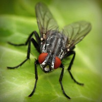 /album/aramingkog/photolia-a01-jpg/