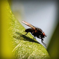 /album/aramingkog/photolia-a04-jpg/