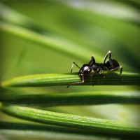 /album/aramingkog/photolia-a05-jpg/