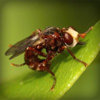 /album/aramingkog/photolia-a06-jpg/