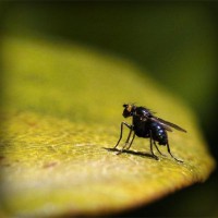 /album/aramingkog/photolia-a07-jpg/