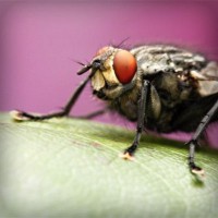 /album/aramingkog/photolia-a08-jpg/